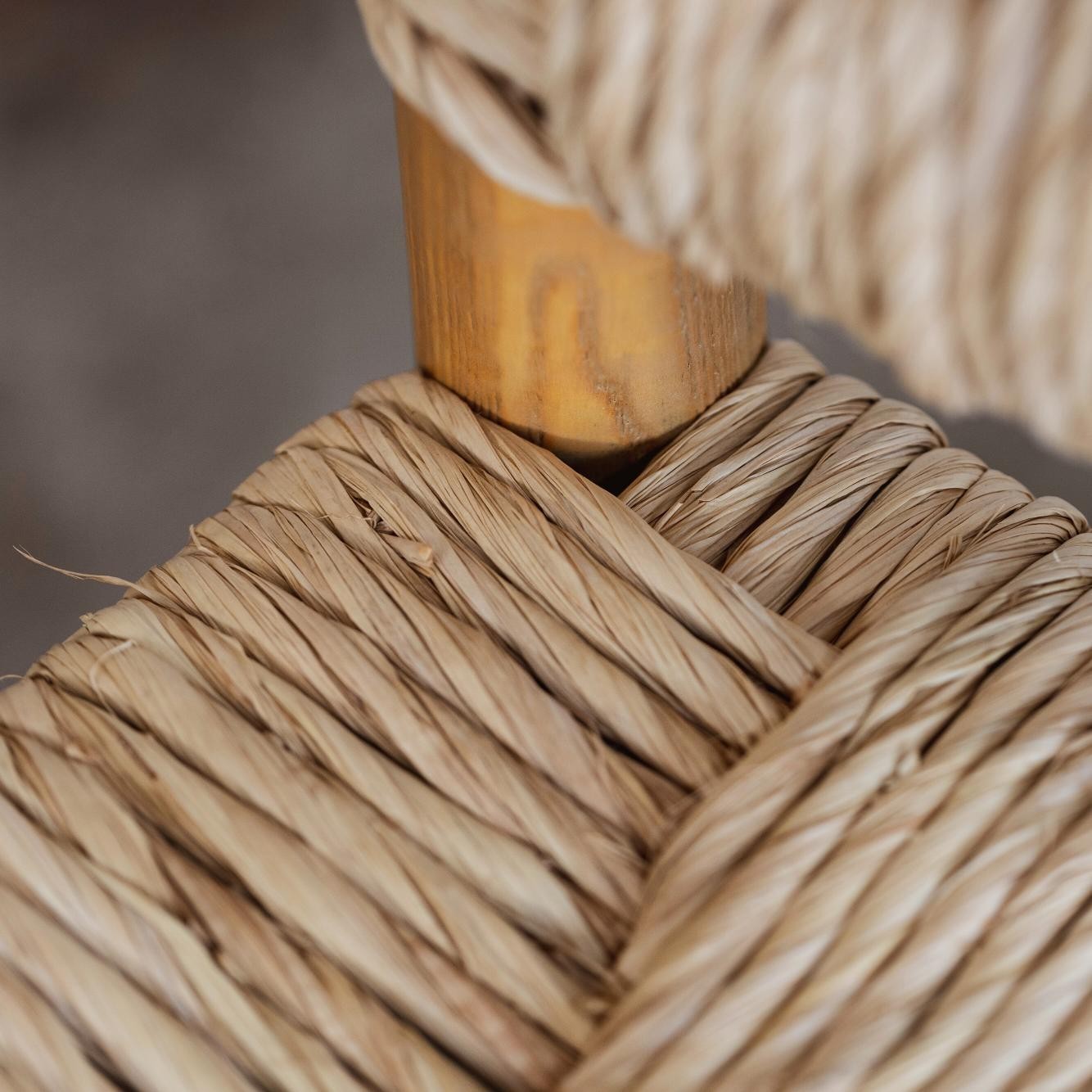 Alessandro Becchi “Toscanolla” Dining Chairs for Giovannetti, Light Brown Ashwood, 1970, Set of 12, 1970