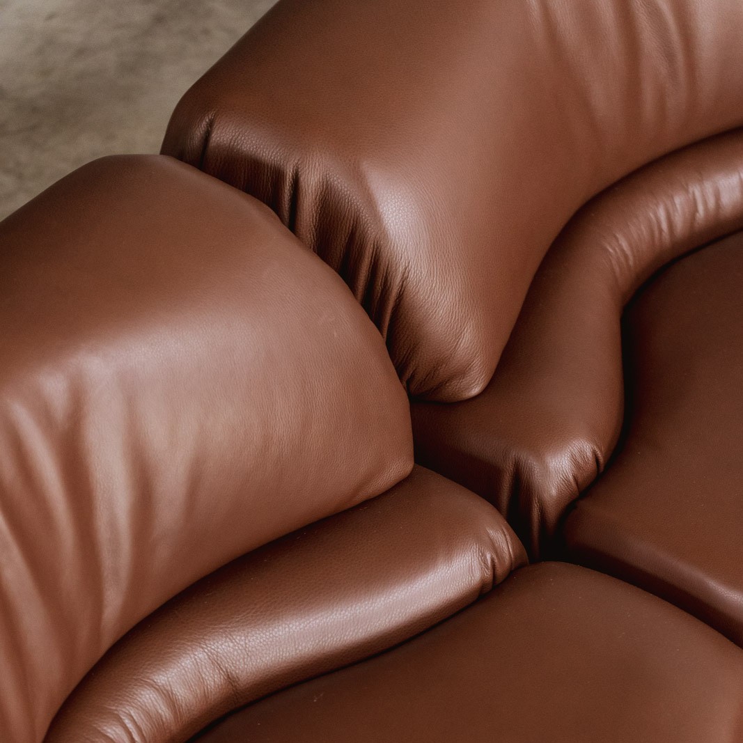 De Sede “DS-28 Cosmos” Modular Sofa for De Sede, Brown Leather, Switzerland, 1970, Set of 5, 1970